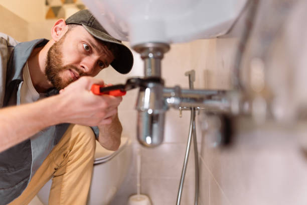 Best Septic Systems  in Chamberlain, SD